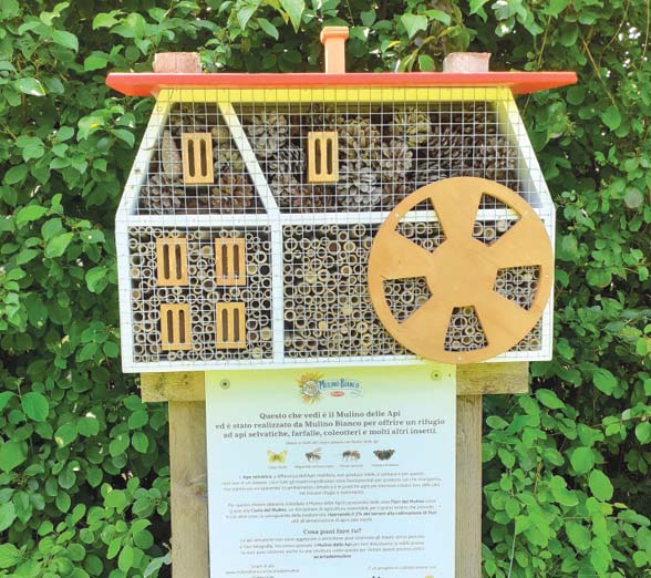 Nuove casette per api selvatiche