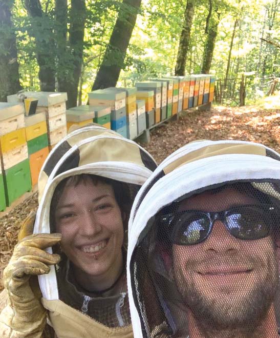 Lavorare con le amiche api
