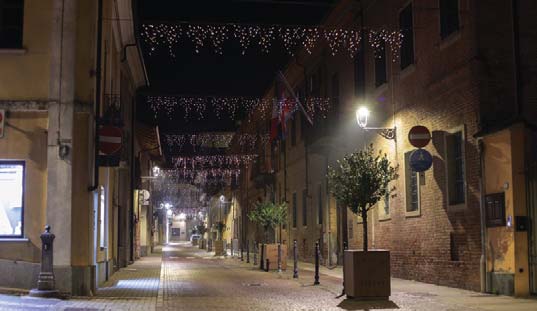 Tutti uniti attorno a un albero di pace