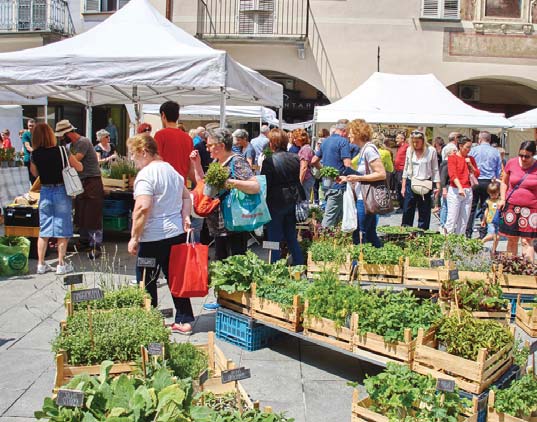La primavera sboccia coi profumi di QuintEssenza