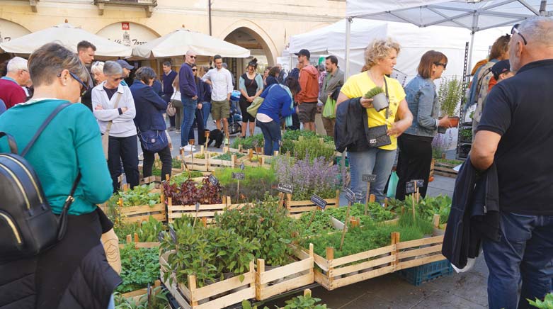 Domenica al sapore di Quintessenza