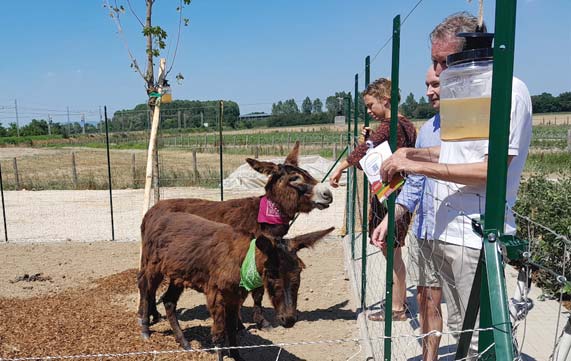 Una fattoria sociale immersa nel verde
