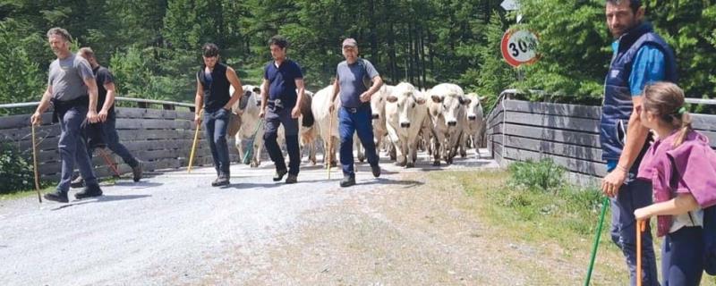 Quel suono dei rudun, inconfondibile