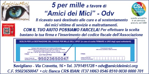 amicimici
