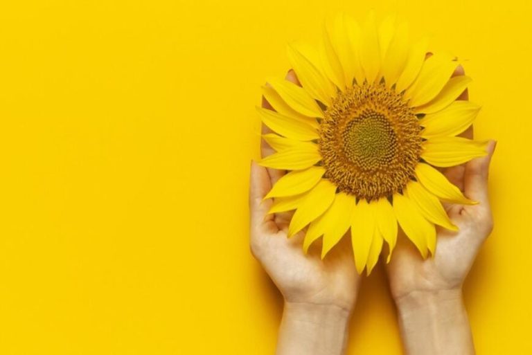 endometriosi_1300x650-2
