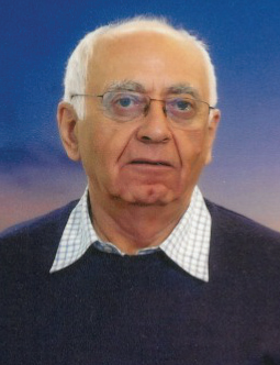 giulio demichelis
