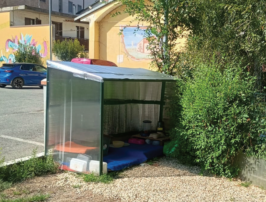 Gatti e piccioni, convivenza difficile